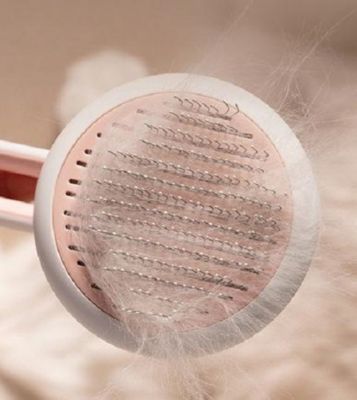 Image showing  Concepto Modern Bristle Grooming Pet Deshedder Comb, Pink