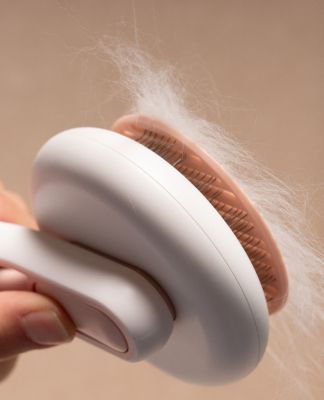 Image showing 3 th Pet Life Concepto Modern Bristle Grooming Pet Deshedder Comb, Black, GR4BL