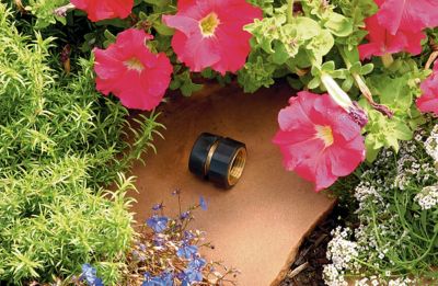 Image showing  3/4 in. Brass Female Quick Hose Connector