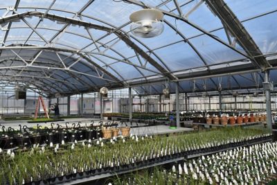 Image showing  18 in. Destratification Fan, 1,800 CFM, White, 115/230V, 1/4 HP, 1 Phase