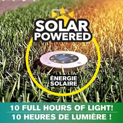 Image showing  Swivel Path Lights - Solar Powered & Stainless Steel (4-Pack)