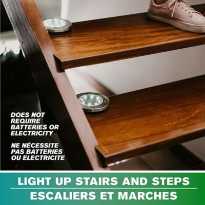 Image showing  Swivel Path Lights - Solar Powered & Stainless Steel (4-Pack)