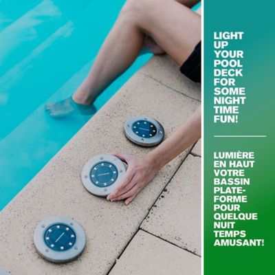 Image showing 6 th Bell & Howell Swivel Path Lights - Solar Powered & Stainless Steel (4-Pack)