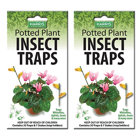 Harris Potted Plant Insect Traps for Gnats, Aphids, Whiteflies and More, 2-Pack, 60 Traps Total