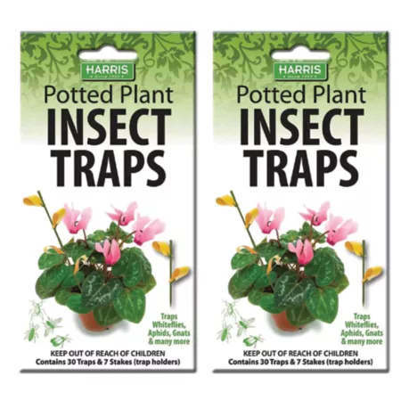 Harris Potted Plant Insect Traps for Gnats Aphids Whiteflies and More 2 Pack 60 Traps Total Insect Traps