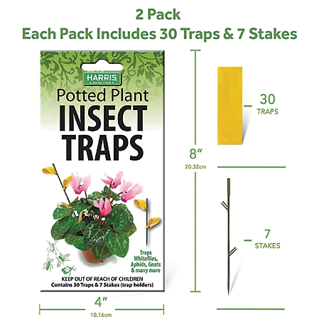 Harris Clothes Moth Traps, 2 Pack, Professional Strength, Discreet, Long  Lasting and Easy to Set at Tractor Supply Co.