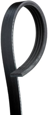 ACDelco Standard Serpentine Belt, BCVC-DCC-4K338