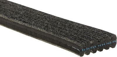 ACDelco Dual Sided Serpentine Belt, BCVC-DCC-6DK956