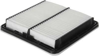 ACDelco Air Filter, BCVC-DCC-A3109C