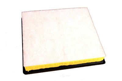 ACDelco Air Filter, BCVC-DCC-A3175C