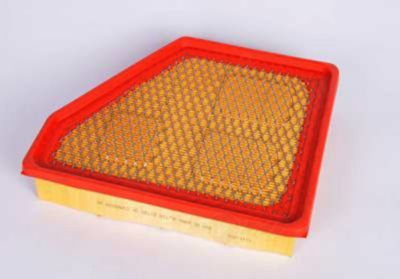 ACDelco Air Filter, BCVC-DCC-A3177C