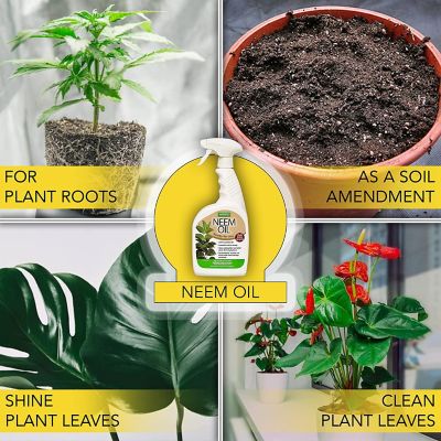Image showing  32 oz. Neem Oil Ready-to-Use Plant Spray with Trigger Sprayer