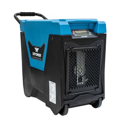 XPOWER 145 pt. Dehumidifier, Blue