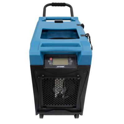 Image showing  145 pt. Dehumidifier, Blue