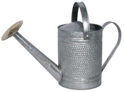 Robert Allen 1 gal. Jameson Watering Can
