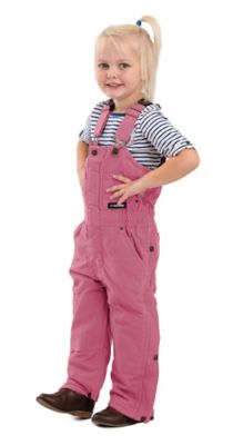 Image showing  Toddler Girls' Softstone Duck Insulated Bib Overalls