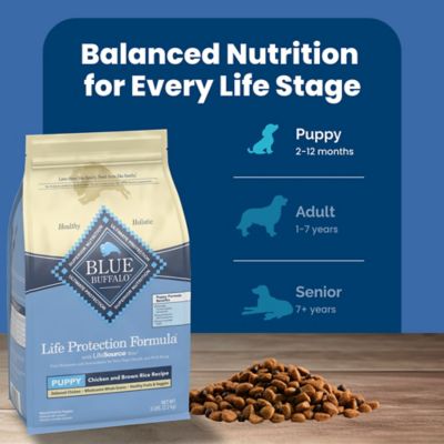 Image showing 7 th Blue Buffalo Life Protection Puppy Chicken and Brown Rice Recipe Dry Dog Food
