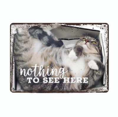 Bella Bug Nothing to See Metal Sign, 7 in. x 10 in.