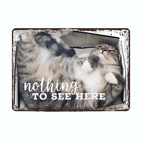 Bella Bug Nothing to See Metal Sign, 7 in. x 10 in.