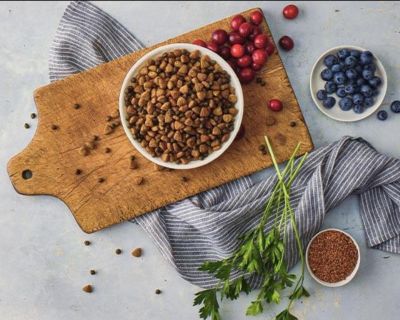 Image showing  Small Breed Adult Chicken and Brown Rice Recipe Dry Dog Food