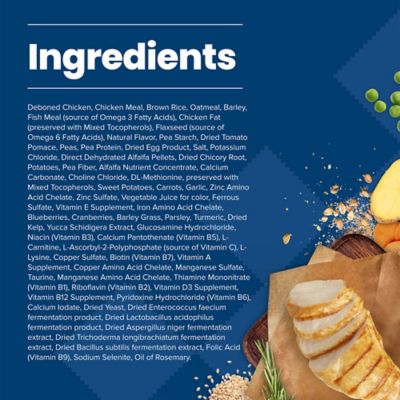 Image showing  Small Breed Adult Chicken and Brown Rice Recipe Dry Dog Food