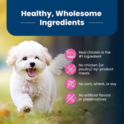 Image showing 5 th Blue Buffalo Life Protection Small Breed Adult Chicken and Brown Rice Recipe Dry Dog Food