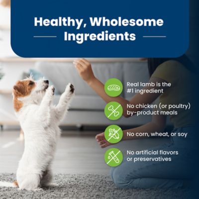 Image showing 5 th Blue Buffalo Life Protection Small Breed Adult Natural Lamb and Brown Rice Recipe Dry Dog Food