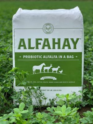 Alfahay 50% moisture fermented chopped Alfalfa Horse Feed, 50 lb.