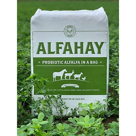Alfahay 50% moisture fermented chopped Alfalfa Horse Feed, 50 lb.