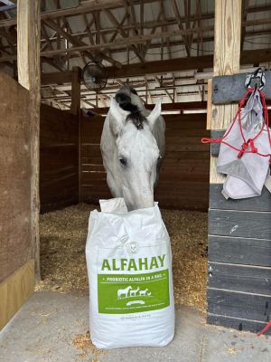 Alfahay 50% Moisture Fermented Chopped Alfalfa Horse Feed, 50 lb. at ...