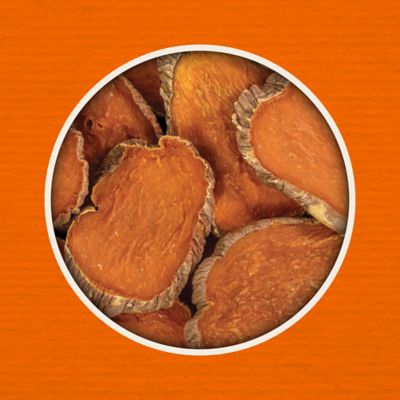 Image showing  Baked Slices Sweet Potato Recipe Dog Treats, 20 oz.