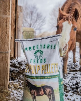 Image showing  Beet Pulp Pellet Horse Feed, 50 lb.