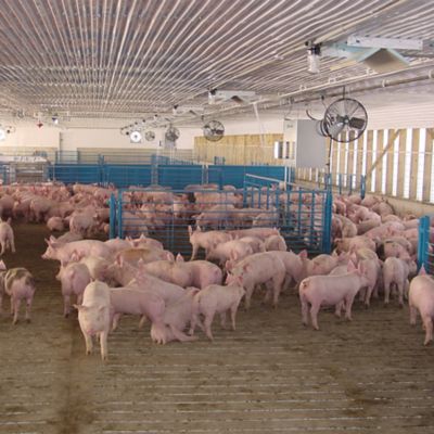 Image showing  24 in. Variable Speed Indoor High-Output Deluxe Basket Fan with Bracket and 10 ft. Cord, 5,370 CFM, Black