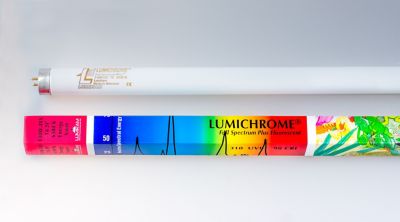 Lumichrome Reptile Sunshine Full Spectrum 10 UVB T8 Fluorescent Reptile Lamp, 24 in.