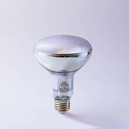 LED Trouble Light/Hand Lamp/Drop Light 10 Watt LED Bulb 12 Foot SJOW Cord