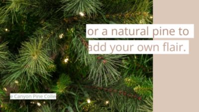 Image showing  5 ft. Pre-Lit Frosted Fir Flocked Slim Artificial Christmas Tree, Warm White LED Lights