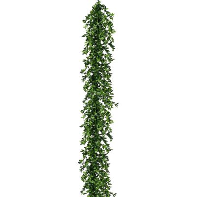 Fraser Hill Farm 9 ft. Boxwood Decorative Garland