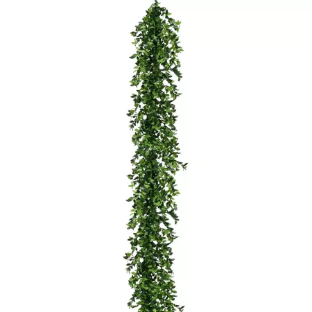 Fraser Hill Farm 9' Decorative Boxwood Garland Decorative Outdoor Lighting