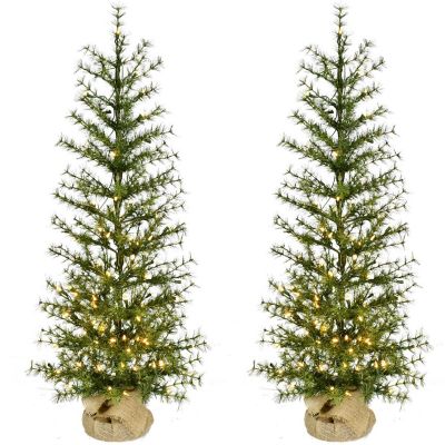 Fraser Hill Farm 4 ft. Farm house Fir Christmas Tree with Burlap Bag and Warm White LED Lights, 2-Pack