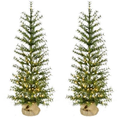 Fraser Hill Farm 4 ft. Farmhouse Fir Christmas Tree with Burlap Bag and Warm White LED Lights, 2-Pack