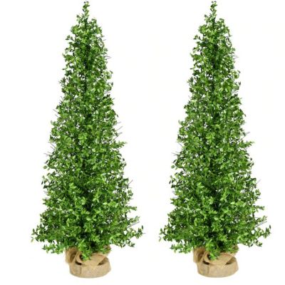 Fraser Hill Farm 3 ft. Boxwood Porch Tree in Burlap Bag, 2-Pack