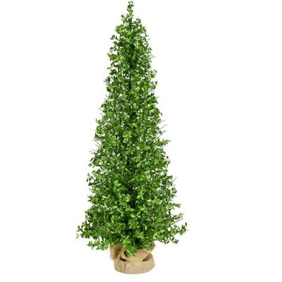 Fraser Hill Farm 4 ft. Boxwood Porch Tree in Burlap Bag