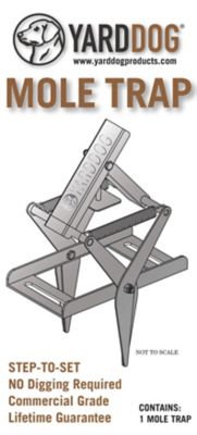 Image showing  Mole Trap