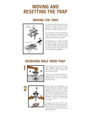 Image showing  Mole Trap