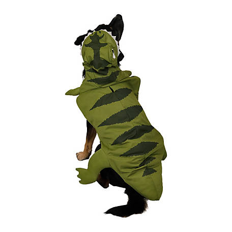 Celebration Dino Pet Costume