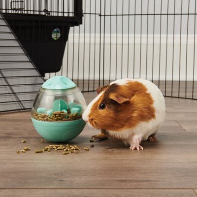 Image showing  0.5-Cup Enriched Life Wobble Teaser Plastic Small Animal Feeder