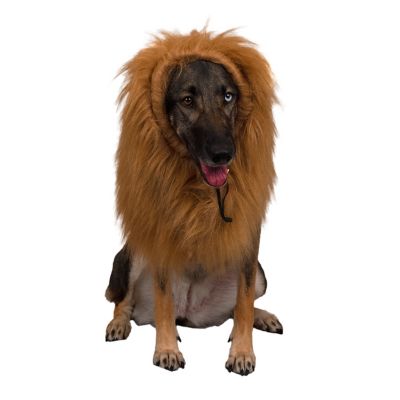 Retriever Lions Mane Headwear Dog Costume