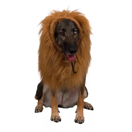 Retriever lion mane and headgear dog costume Dog Costumes