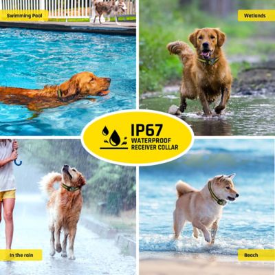 Image showing 275 yd. Rechargeable Remote Dog Trainer