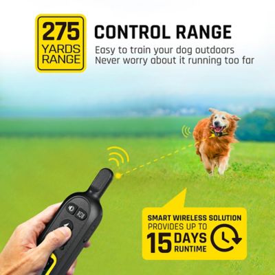 Image showing 275 yd. Rechargeable Remote Dog Trainer